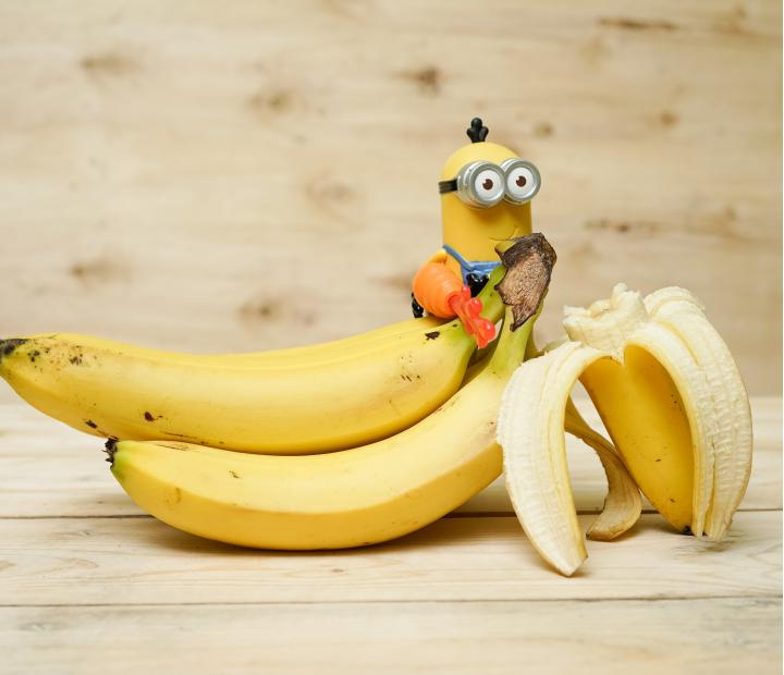 Servicio comedor. Vacaciones de verano