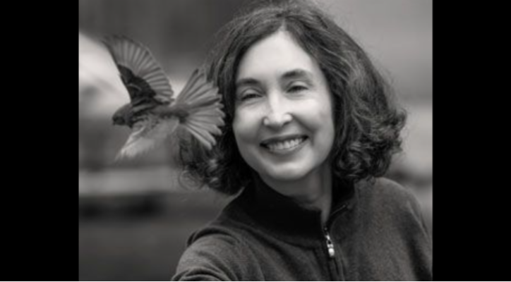 Alas para Volar. Empezar de nuevo cuándo la vida se rompe