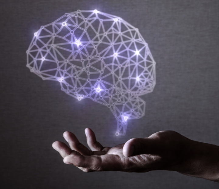  Diseñando para el nuevo consumidor: neurociencia aplicada a decisión, comunicación y producto