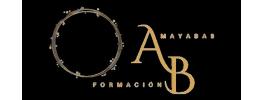 Organizador