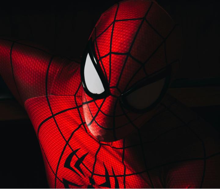 Spiderman. Multiverso, cine de animación y cultura urbana