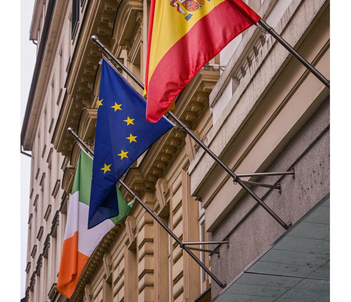 Encuentro con el embajador de Irlanda