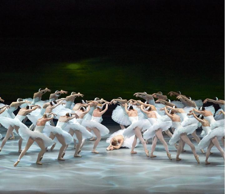 Ópera de cine. Proyección del ballet El lago de los cisnes