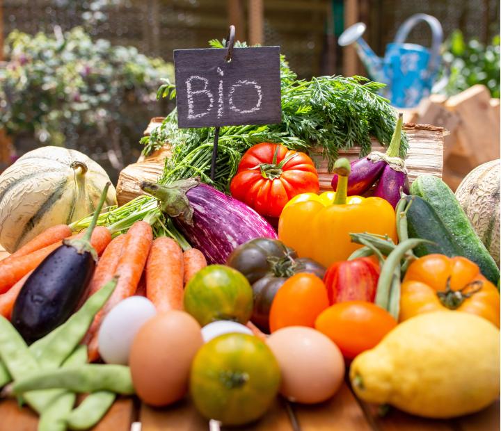 Nutrición con cocina. Bases de la alimentación saludable