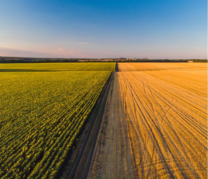 Agricultura en positivo: cómo alimentarnos cuidando la naturaleza