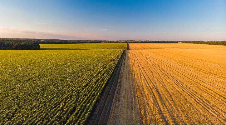 Agricultura en positivo: cómo alimentarnos cuidando la naturaleza
