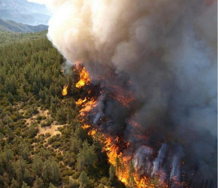 Incendios Forestales. Un grave problema que tenemos que abordar
