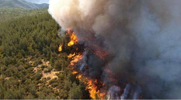 Incendios Forestales. Un grave problema que tenemos que abordar