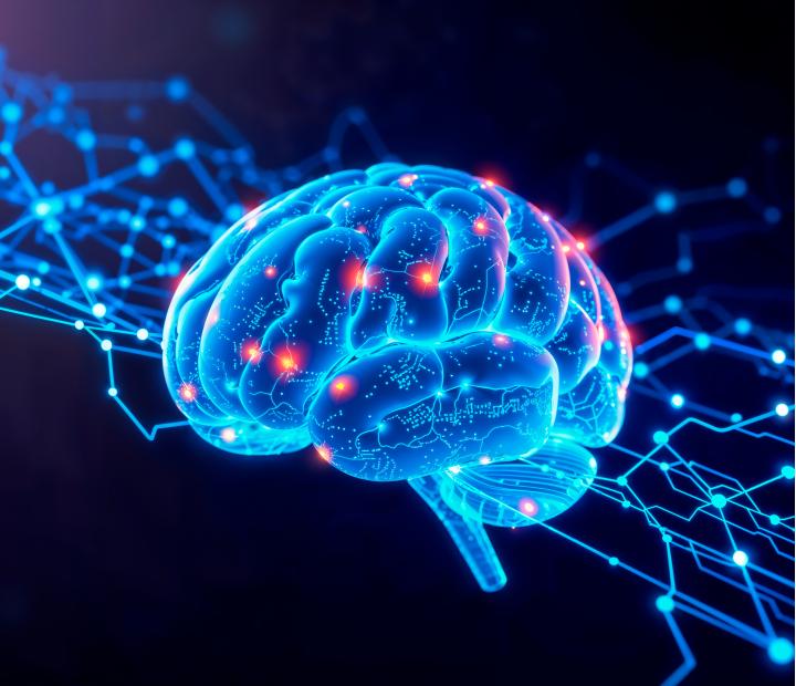 Conversaciones invisibles en el cerebro: cómo se comunican las neuronas y su impacto en la conducta