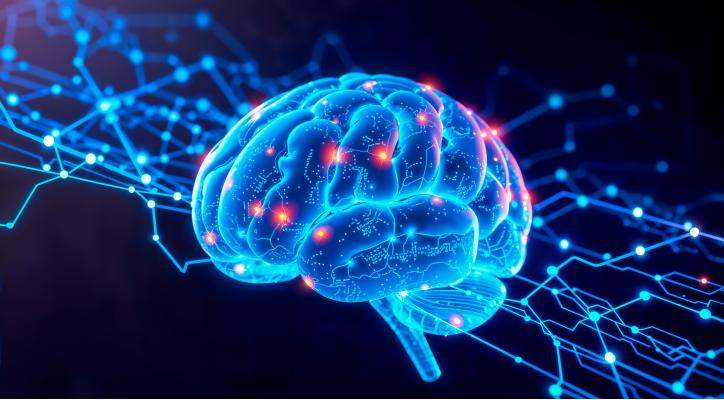 Conversaciones invisibles en el cerebro: cómo se comunican las neuronas y su impacto en la conducta