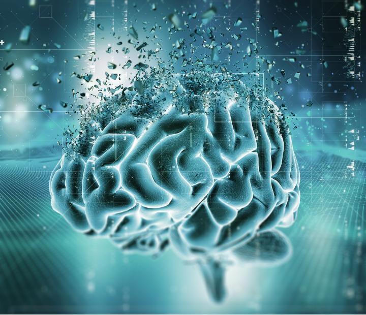 El universo oculto del cerebro
