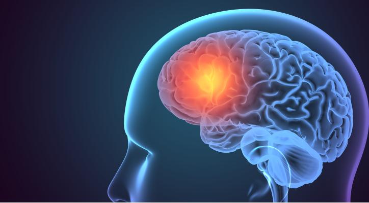 El universo oculto del cerebro