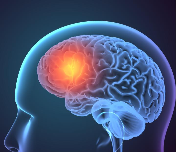 ¿Qué sabemos de...? Cerebro y neurociencia