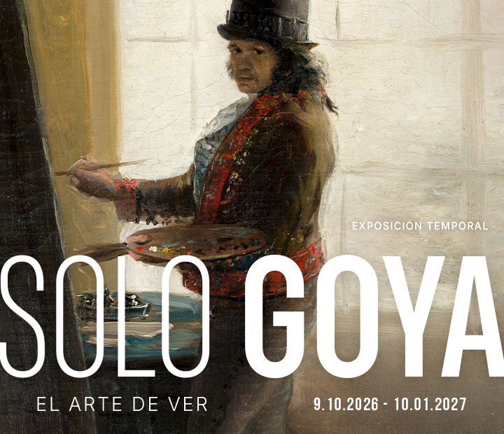 Solo Goya. El arte de ver