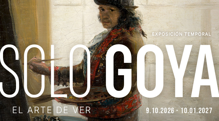 Solo Goya. El arte de ver