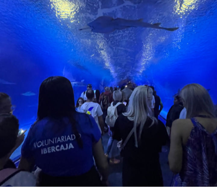 VOLUNTARIADO: Día Solidario de las empresas 2026 - Visita al Oceanogràfic (Ciudad de las Artes y de las Ciencias) con CODIFIVA (Valencia)