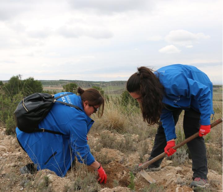 VOLUNTARIADO: Plantaciones con Reforesta - 22/11/2026