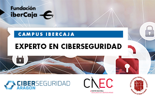Experto en Ciberseguridad