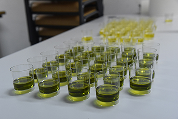 Conferencia. El aceite de oliva, un saludable placer