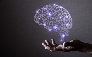 Taller intensivo en inteligencia emocional. Nivel 1