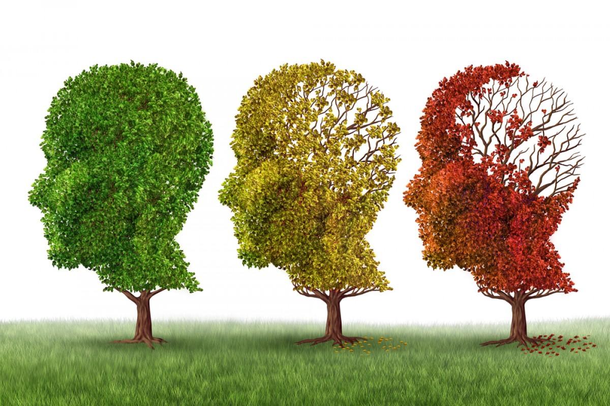 XXV Jornadas sobre demencia tipo Alzheimer