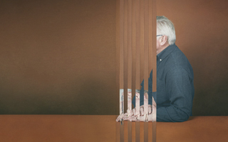 Videoconferencia. Inmortalidad digital