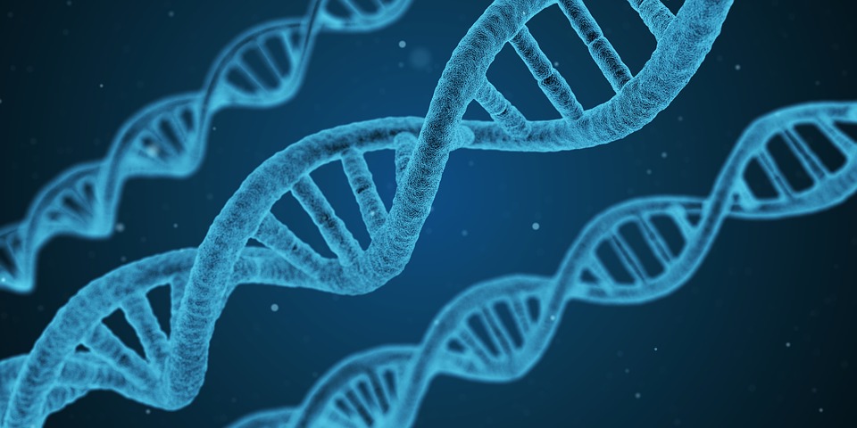 Conferencia: ¿Existen límites para la edición del genoma con la técnica CRISPR?
