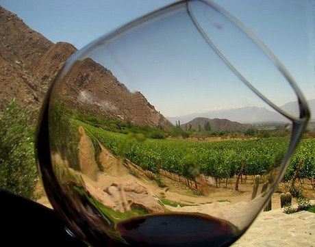 Videoconferencia: El vino, un capricho saludable y las mejores aplicaciones para tus rutas