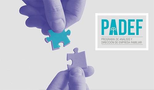 Programa de Análisis y Dirección de Empresa Familiar. PADEF
