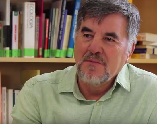 Videoconferencia. Educación inclusiva, participación y convivencia