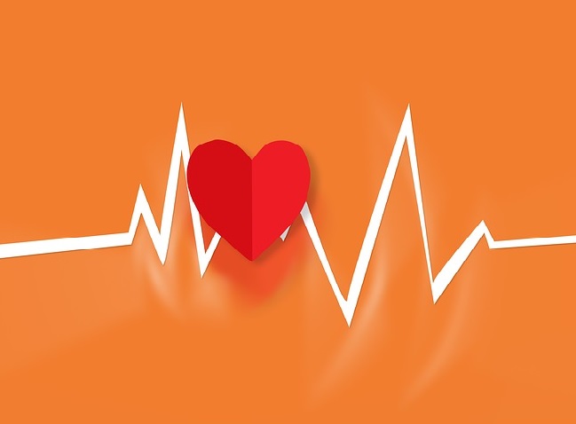 Conferencia. Reanimación cardiopulmonar: salvar vidas con nuestras manos