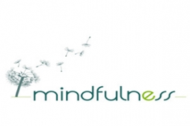Programa. Bienestar y eficacia en la empresa a través del Mindfulness
