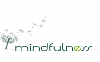Programa. Bienestar y eficacia en la empresa a través de Mindfulness