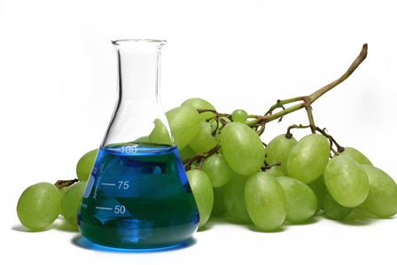 Conferencia. Química del olor, sabor y placer en el vino