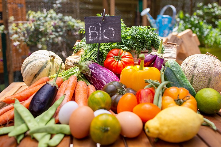 Taller. Del campo a la mesa, el origen, ¡sí importa!. Cómo se producen y transforman algunos de nuestros alimentos cotidianos