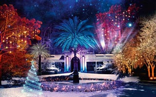 Videoconferencia. Aspectos singulares de la Navidad madrileña