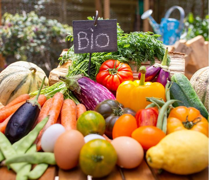 Nutrición con cocina. Bases de la alimentación saludable