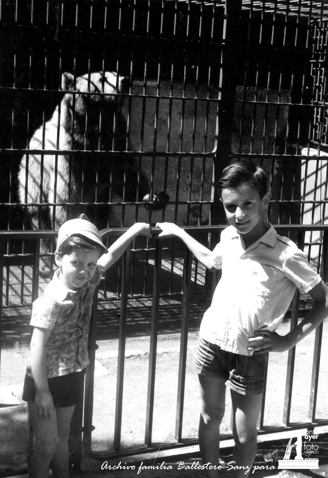 Niños junto a la jaula de los osos