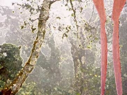 IBERCAJA INAUGURA LA EXPOSICIÓN 