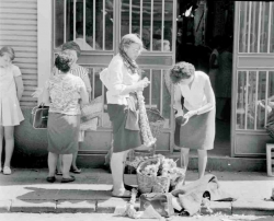 CERCA DE 17.000 PERSONAS HAN VISITADO LAS FOTOGRAFÍAS DE LA SAGA JARKE EN EL MUSEO CAMÓN AZNAR-IBERCAJA