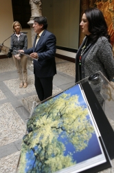  IBERCAJA SE  SUMA AL DÍA FORESTAL MUNDIAL