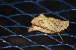 II RALLY FOTOGRÁFICO EN IBERCAJA ZENTRUM