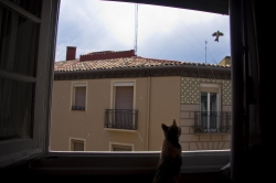 II RALLY FOTOGRÁFICO EN IBERCAJA ZENTRUM