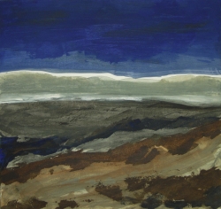 “TIERRAS Y AGUA” DE JOSÉ LUIS IBÁÑEZ, EN EL CENTRO CULTURAL IBERCAJA ZARAGOZA