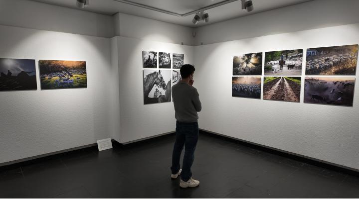 La exposición 