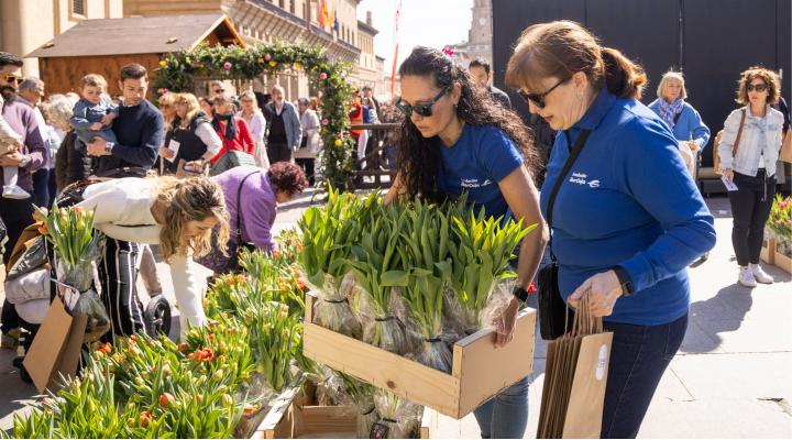Voluntariado corporativo en el mercado de Tulipanes de Zaragoza.