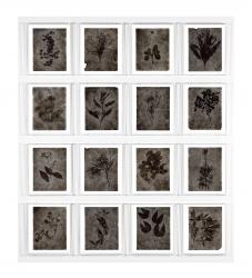 PREMIO IBERCAJA PINTURA JOVEN 2015