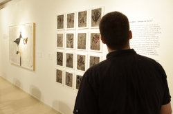 INAUGURACIÓN DE LA EXPOSICIÓN PREMIO IBERCAJA PINTURA JOVEN 2015