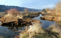 LA TRIBUNA DEL AGUA, EN EL CICLO 