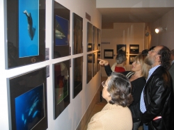 IBERCAJA INAUGURA EN SANLÚCAR DE BARRAMEDA LA EXPOSICIÓN 